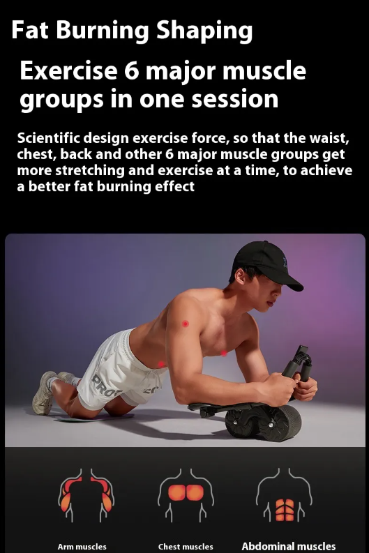 Ab Wheel Roller for Core Strength and Stability Training
