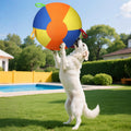 Inflatable Training And Exercise Toy Pet Play Ball