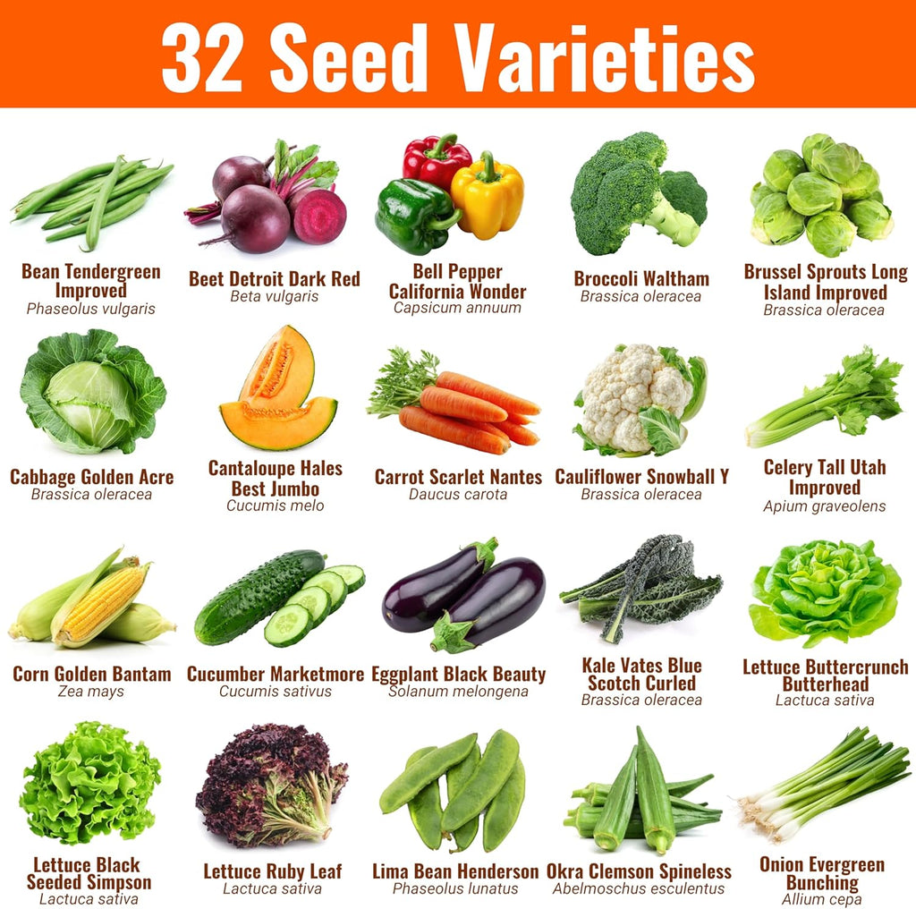 |15,000 Heirloom Seeds | 32 Seed Types | Survival Seeds | 2026 Season | Non GMO Vegetable and Fruit Seeds | Planting Outdoor & Indoor Garden