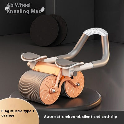 Ab Wheel Roller for Core Strength and Stability Training