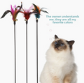 Colorful Feather Cat Wand