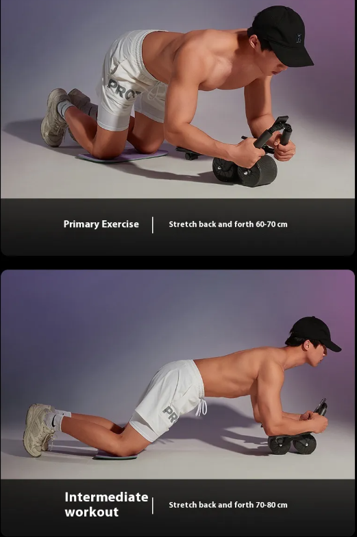Ab Wheel Roller for Core Strength and Stability Training