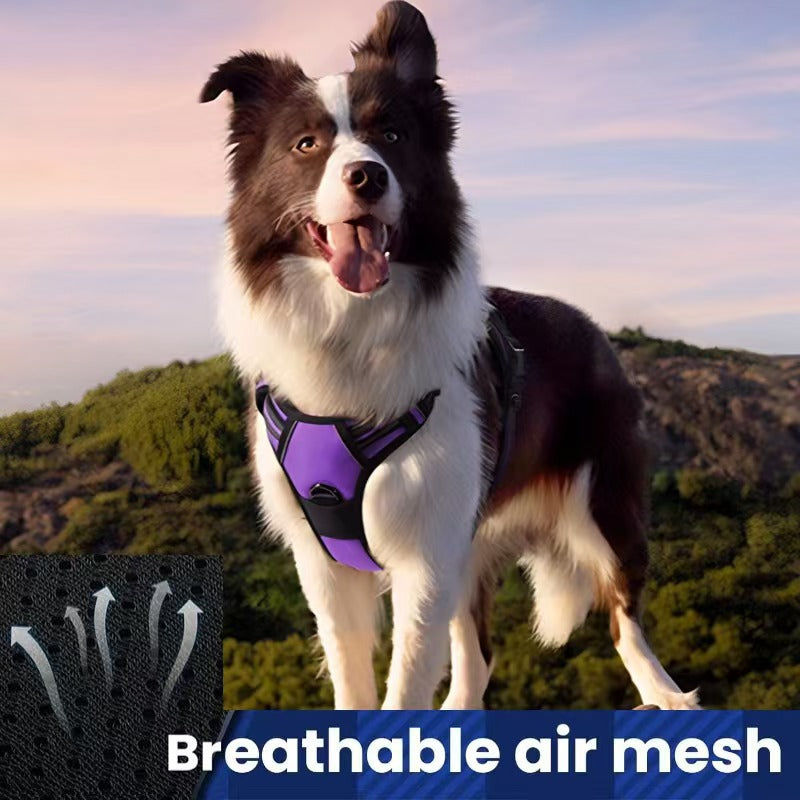 Multi-layer All-in-one Pet Dog Harness and Leash Set - Durable Nylon Walking Rope for Small Medium Large Dogs Outdoor Tr